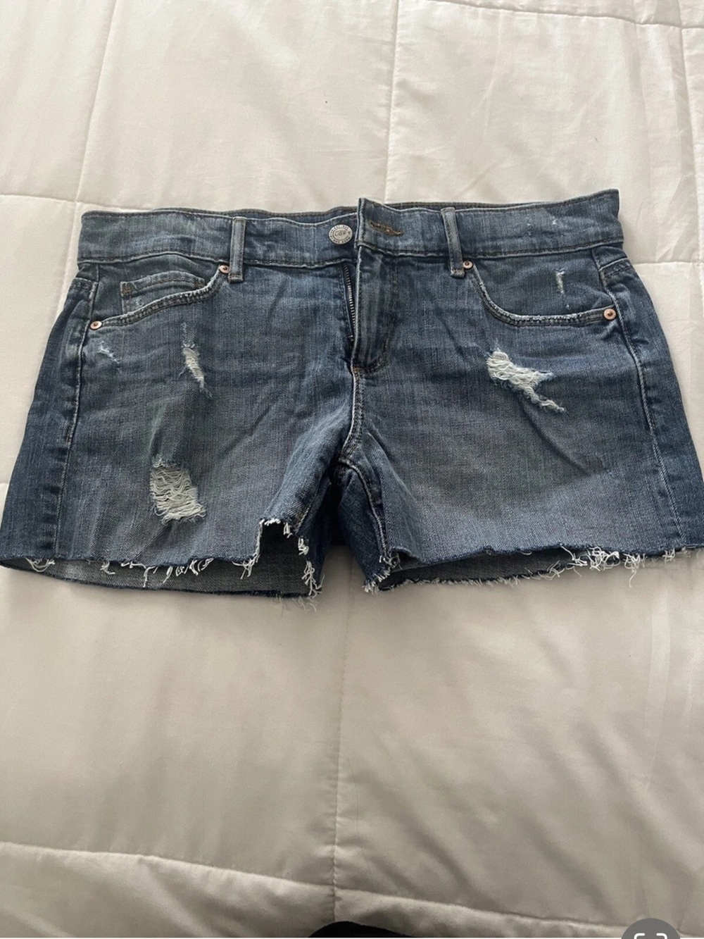 Loft size 4 Distressed Denim Women’s Shorts - Blue